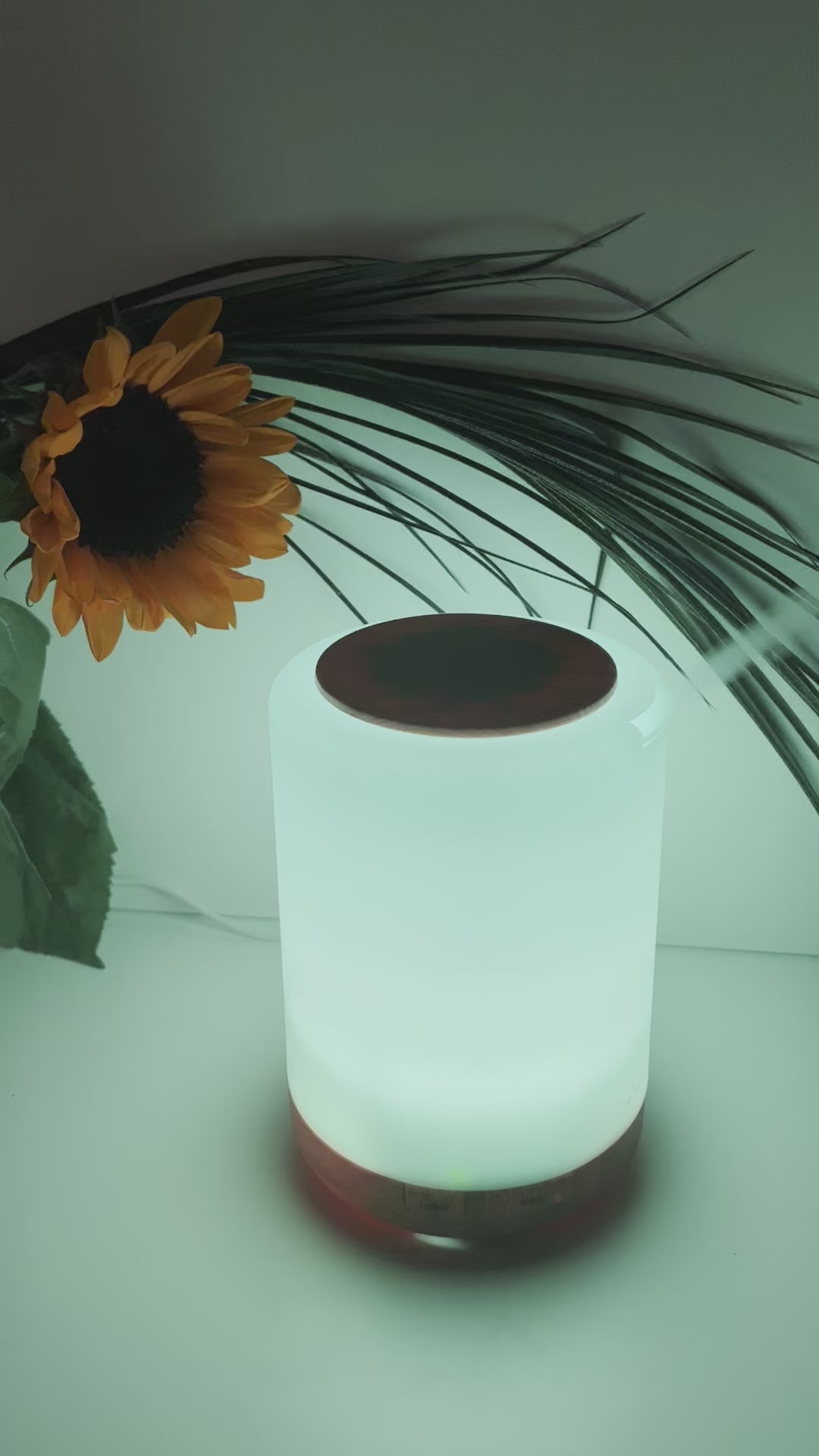 Essential oil aromatherapy diffuser with light and remote control by Steph Kilkenny