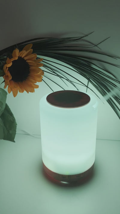 Essential oil aromatherapy diffuser with light and remote control by Steph Kilkenny