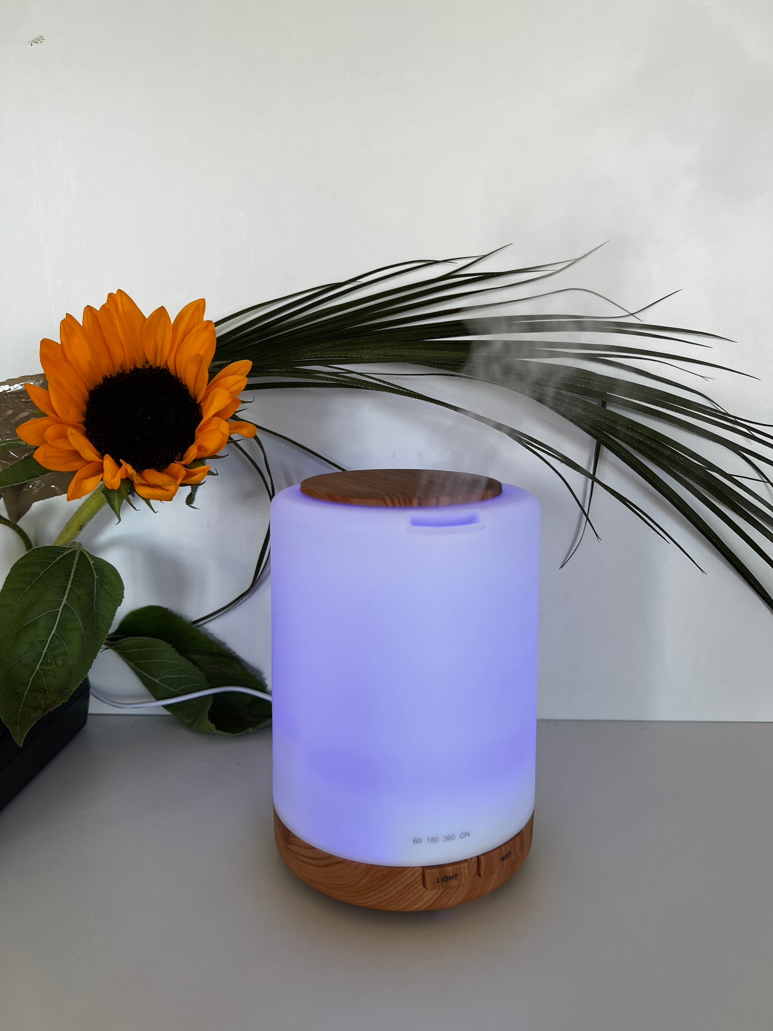 Essential Oil Aromatherapy Diffuser with Light and Remote Control